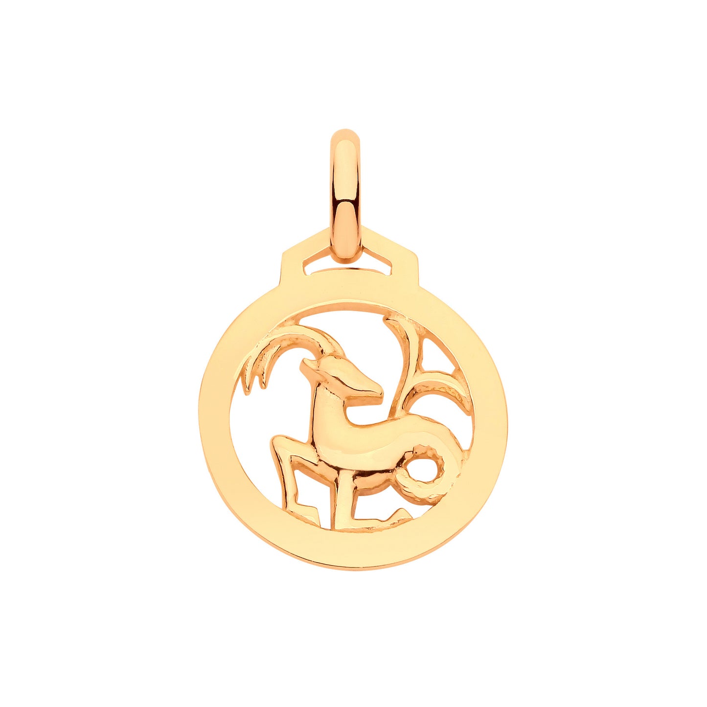 Y/G Round Zodiac Pendant CAPRICORN