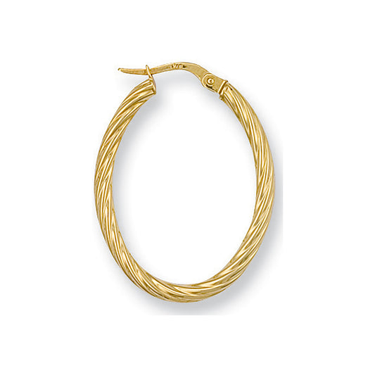 Y/G Twisted Oval Hoop Earrings