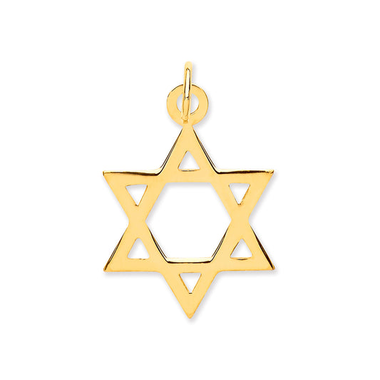 Y/G Star of David Pendant