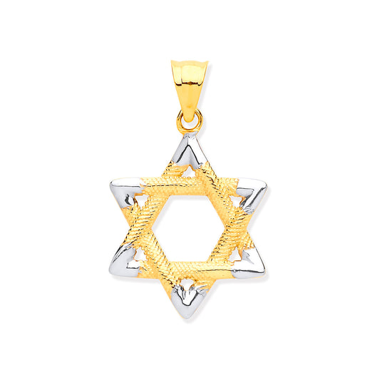 W & Y/G Star of David Pendant